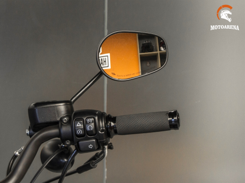 Harley-Davidson Sportster 883-2021 фото 12