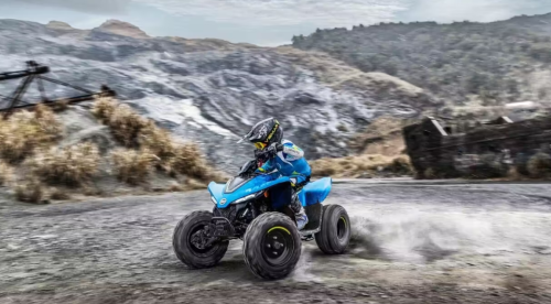 CFMOTO CForce 110 EFI фото 4